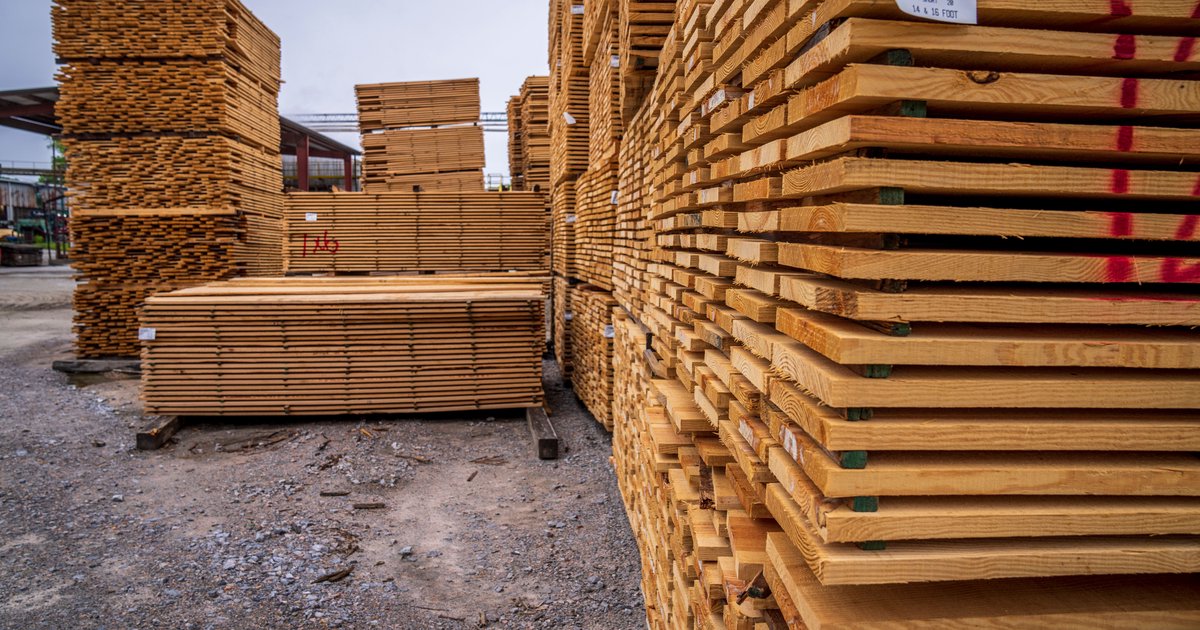 Baustoff Holz: Eigenschaften und Verwendung