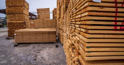 Baustoff Holz: Eigenschaften und Verwendung