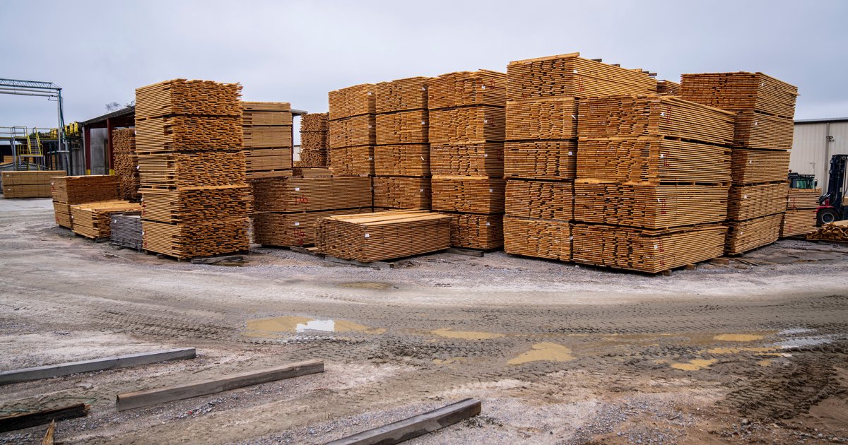 Baustoffe kaufen: Holz und Alternativen