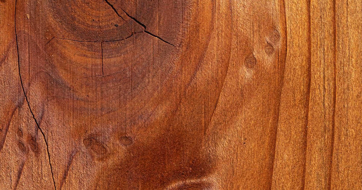 Baustoff Holz Eigenschaften: Übersicht